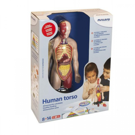 Miniland-Kit-educational-mulaj-Corpul-uman-si-sistemul-digestiv [1]