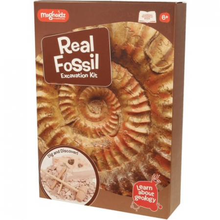 Toate jucariile - Keycraft-Kit-paleontologie-Descopera-fosile