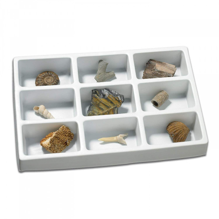 Ajándékok 10 éves gyerekeknek - Learning-Resources-Kit-paleontologie-Fosile