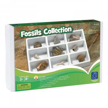Learning-Resources-Kit-paleontologie-Fosile [1]
