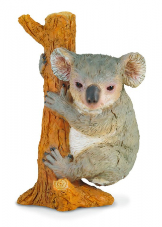 Figurine - Collecta-Koala-Animal-figurina