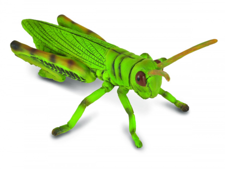 Figurine - Collecta-Lacusta-Animal-figurina