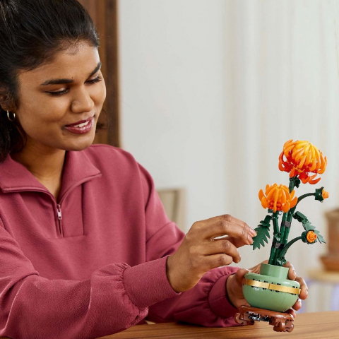 Lego Botanical Collection Crizantema 10368  [2]