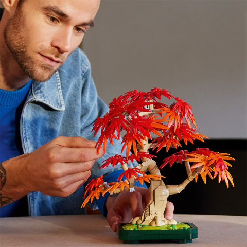 Lego Botanicals Bonsai De Artar Japonez Rosu 10348 [2]