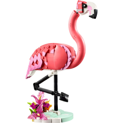 LEGO-Lego Creator Animale Salbatice Flamingo Roz 31170  [1]