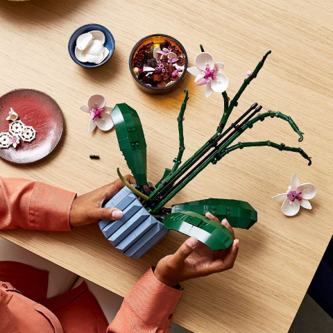 LEGO-Lego Icons Orhidee 10311 [3]