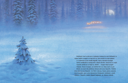 Editura Cartea Copiilor Micul brad de Margaret Wise Brown ilustratii de Jim LaMarche [8]