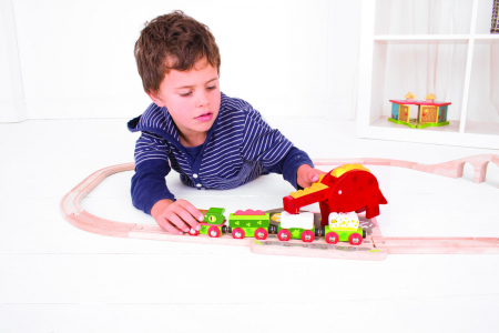 BigJigs-Macara-Dinozaur [5]