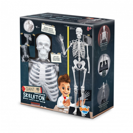 Jucarii educative - Pachet Set educativ Schelet si Corpul Uman