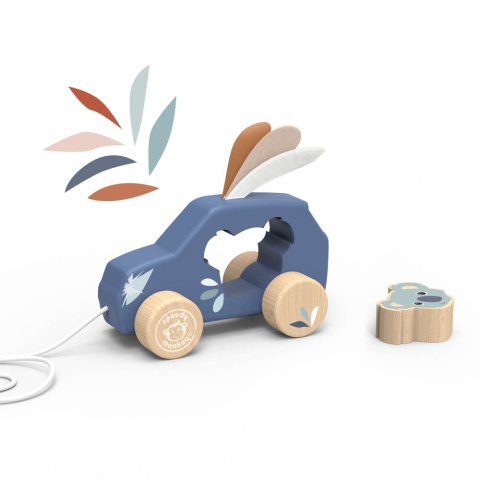 Speedy Monkey-Masinuta de tras din lemn, Speedy Monkey [1]