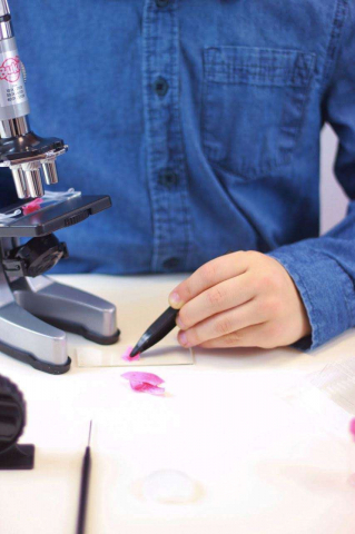Buki-France-Microscop-pentru-copii-cu-30-experimente-Set-stiinta [3]