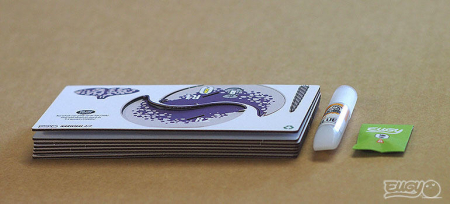 Brainstorm-Model 3D - Narval [1]