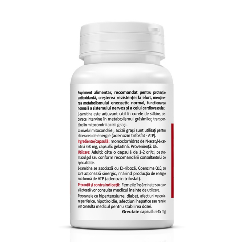Zenyth-N-Acetyl L-Carnitine, 550 mg, 60 capsule, Zenyth [2]