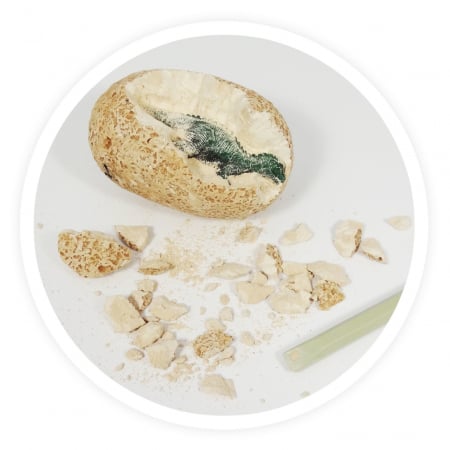 Kísérleti készletek gyerekeknek - Buki France-Ou Dino - Set stiinta copii