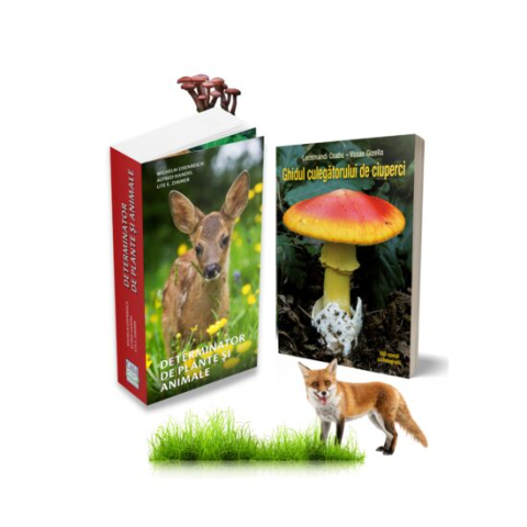 Jucarii educative - Editura Casa-Pachet pentru iubitorii naturii - 