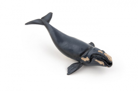 Papo Figurina Balena [1]