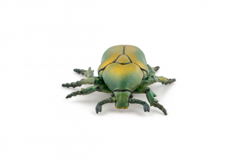 Papo Figurina Carabus [6]