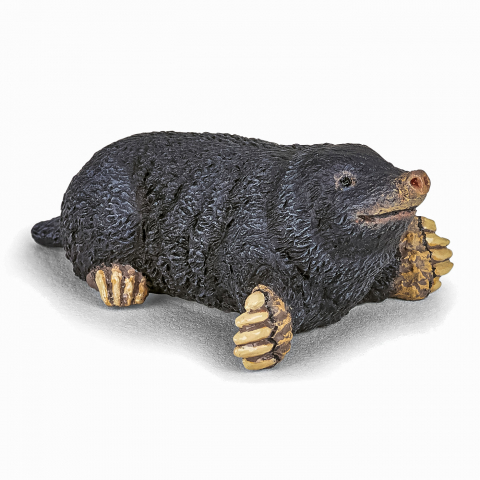 Jucarii 3-5 ani - Papo Figurina Cartita