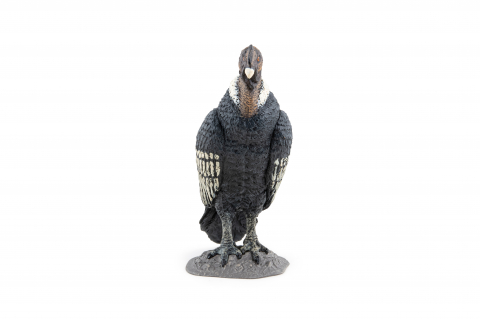 Papo Figurina Condor [3]