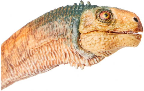 Papo Figurina Dinozaur Chilesaurus [1]