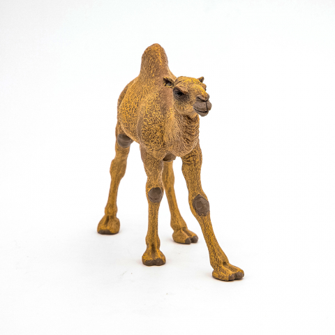 Papo Figurina Dromader [1]