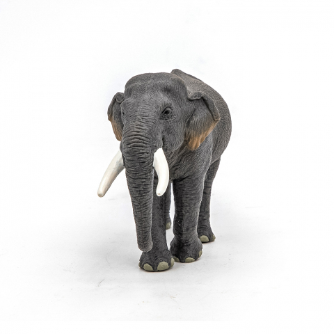 Papo Figurina Elefant Asiatic [4]