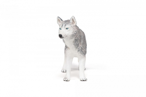 Papo Figurina Husky Siberian [3]