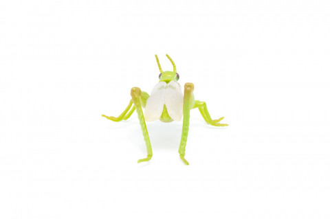 Papo Figurina Lacusta [1]