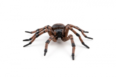 Papo Figurina Paianjen [5]