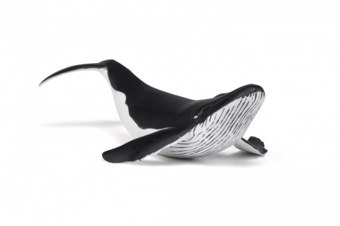 Papo Figurina Pui De Balena [4]