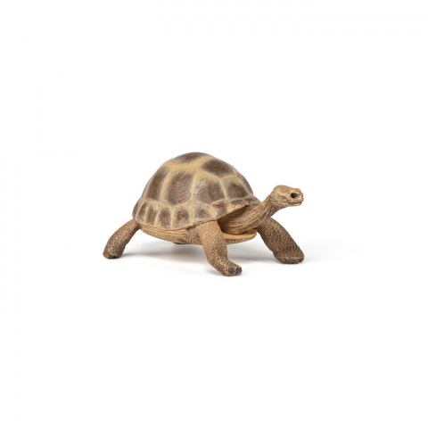 Papo Figurina Testoasa De Uscat [2]