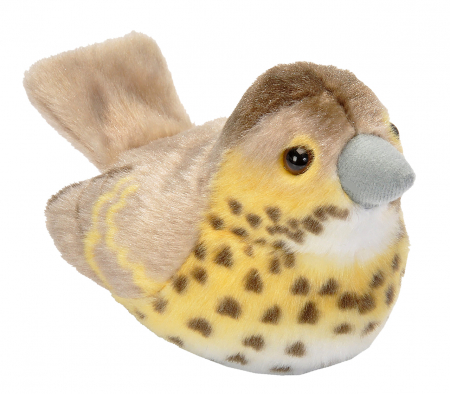 Wild Republic - Wild Republic-Pasare cu sunet Sturz cantator - SONG THRUSH