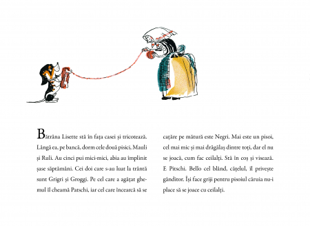 Editura-Frontiera-Pitschi-povestea-unui-pisoi-care-voia-sa-fie-altceva-Hans-Fischer [2]