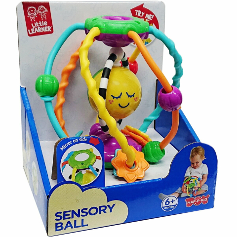 Prima mea mingiuta interactiva [1]