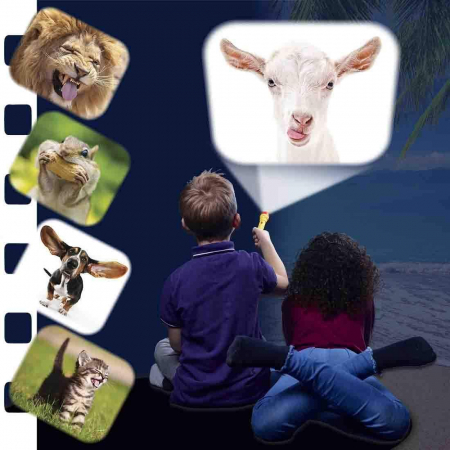 Brainstorm Proiector tip lanterna - Animalute haioase [5]
