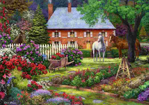 Jucarii sub 50 RON - Goliath-Puzzle Chuck Pinson - Gradina, 1000 piese