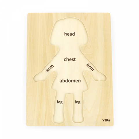 Seturi Experimente pentru copii - Viga-Puzzle Corpul uman - Fata（7 piese), Viga