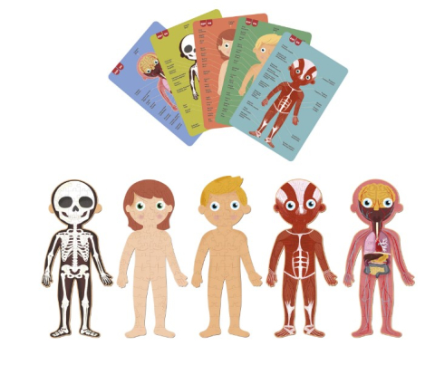 Oktató játékok - Puzzle educational, Apli Kids, Carton, Corpul uman