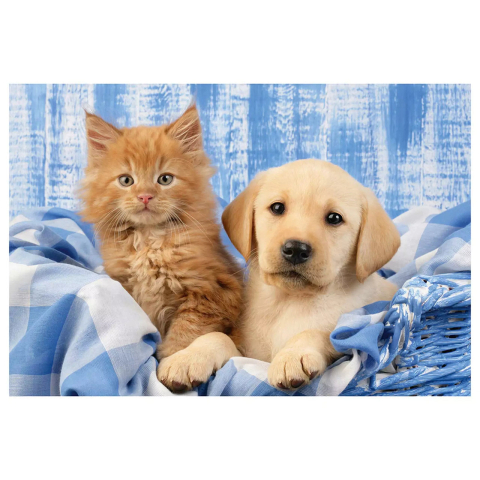 Puzzle Schmidt: Animalutele mele dragute , Set de 3 x 24 piese [1]