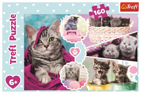 Trefl-Puzzle Trefl 160 Pisici Dragalase [2]