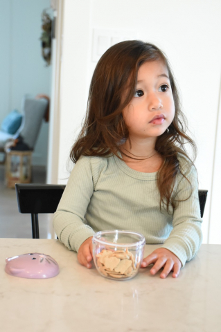 Recipient Hrana Bebe, Melii, Model Pisica [2]