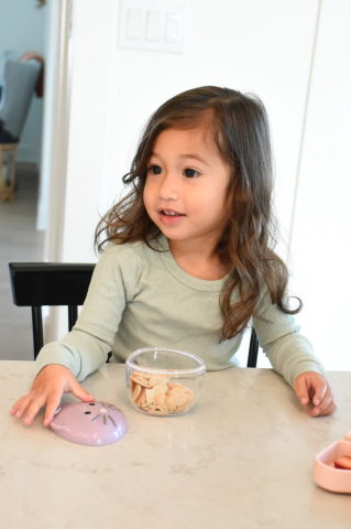 Recipient Hrana Bebe, Melii, Model Pisica [3]