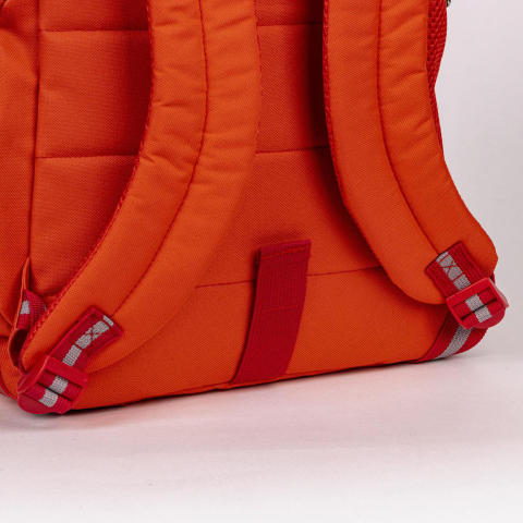 Cerda-Rucsac Harvard, 30x44x13 cm [7]
