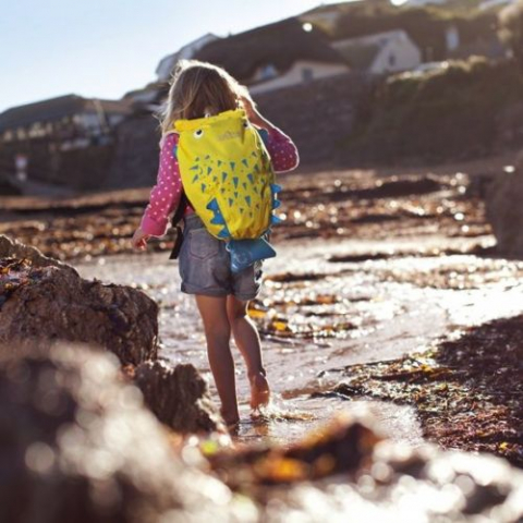 Rucsac Trunki PaddlePak Blow Fish [3]