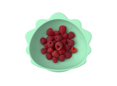 Set 2 Castronele Cu Ventuza Silicon Melii Model Dinozaur [5]