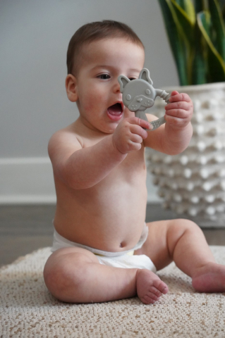 Set 2 Jucarii Dentitie Silicon Melii Model Bulldog + Pisica [2]