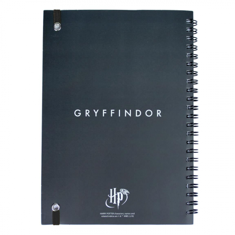 Set Birotica Harry Potter Gryffindor [3]