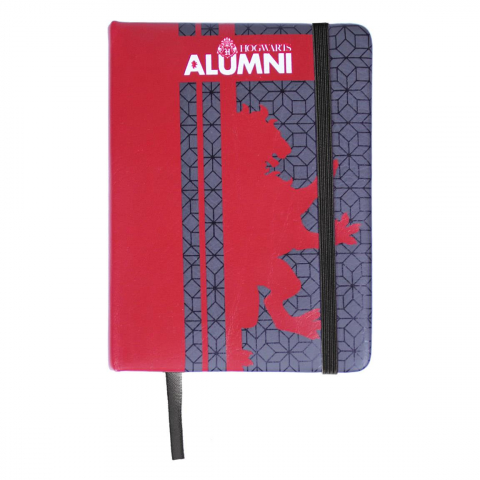Set Birotica Harry Potter Gryffindor [6]
