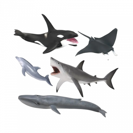 Figurine - Collecta-Set de 5 figurine pictate manual Viata Marina
