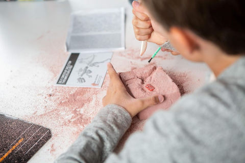 4m-Set excavare Tyrannosaurus Rex - KidzLabs 6+ [3]